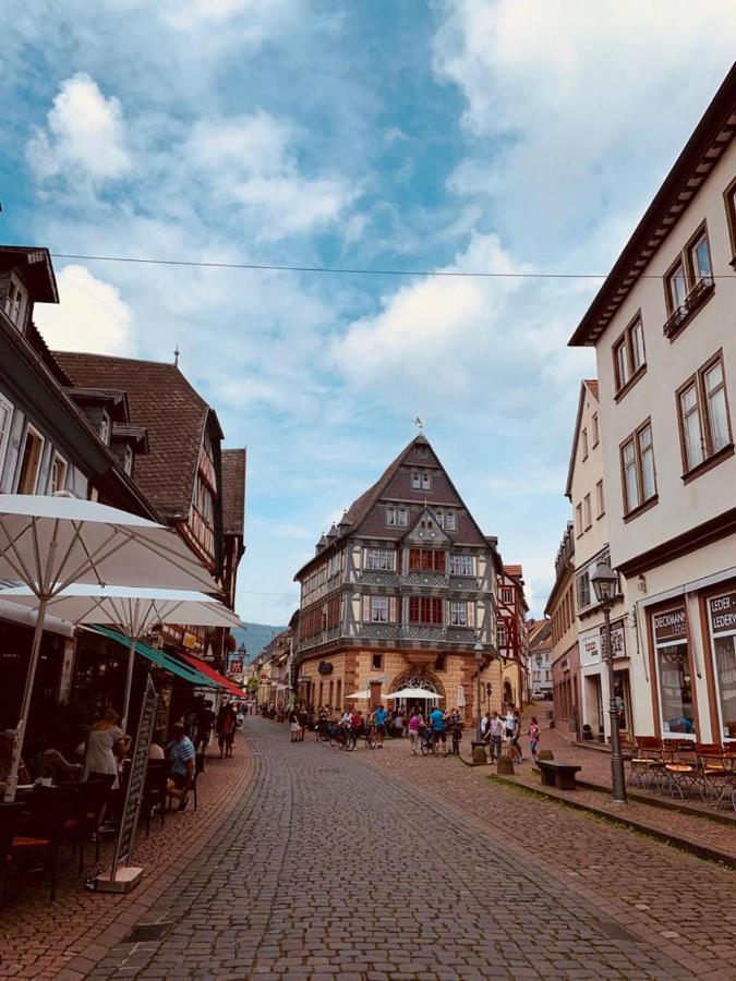 Ferienwohnung Am Brunnen Großheubach Eksteriør bilde